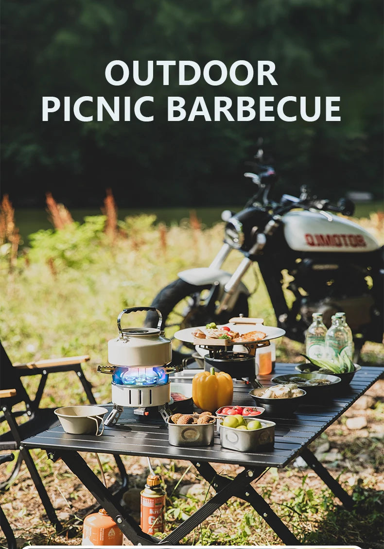 BISINNA Camping Gas Stove Portable Furnace Strong Firepower Burner Outdoor Barbecue Picnic Hiking Tourism Supplies