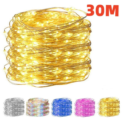 10/20/30M USB LED String Lights