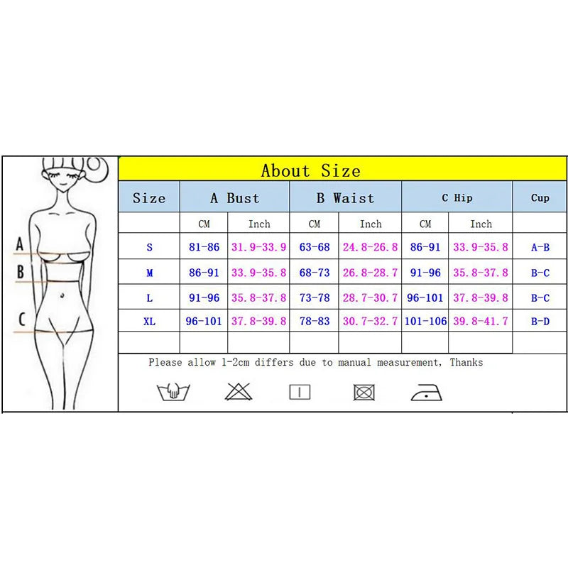 Push Up Bikinis Women Swimsuits Female Swimwear 2024 Micro Bikini Set Bathing Suit Swimming Suits Beachwear Embroidery Biquini