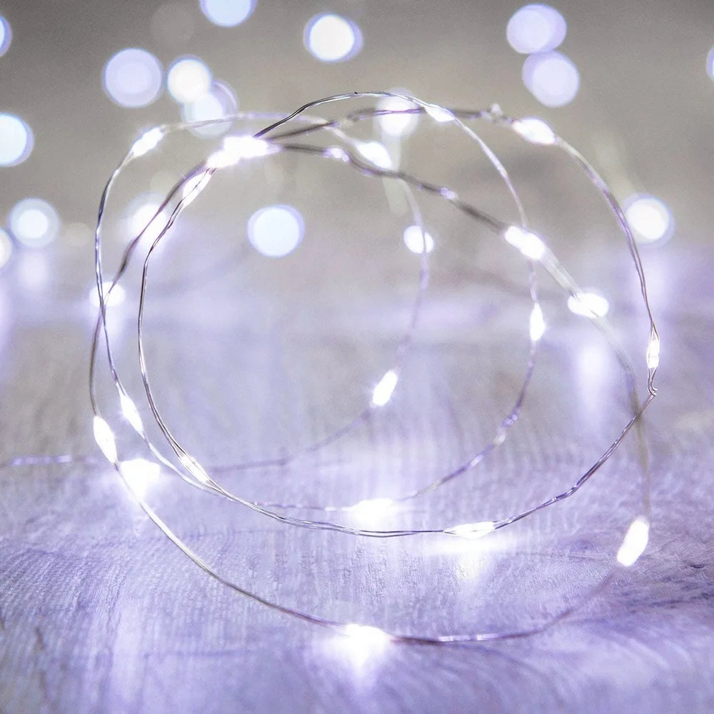 10/20/30M USB LED String Lights