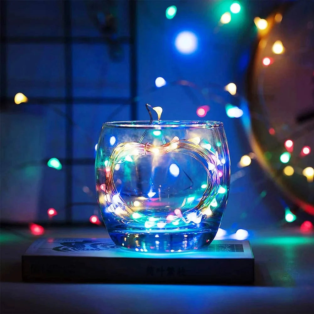 10/20/30M USB LED String Lights