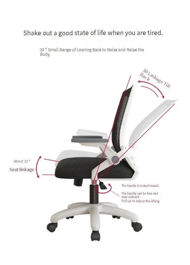Recliner Conference Office Chair Designer Salon Lounge Reading Executive Bedroom Office Chair Luxury Sillas De Oficina Furniture